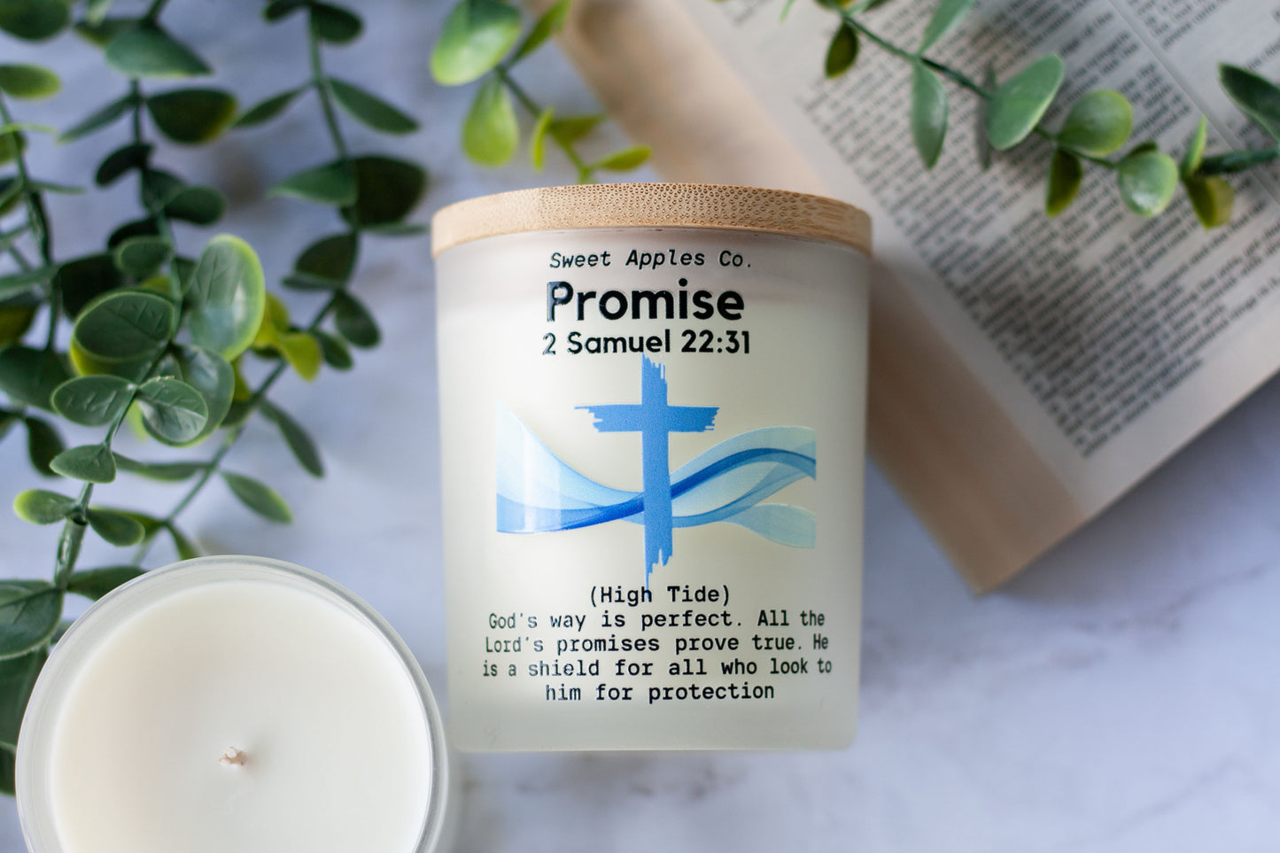 Promise (High Tide)