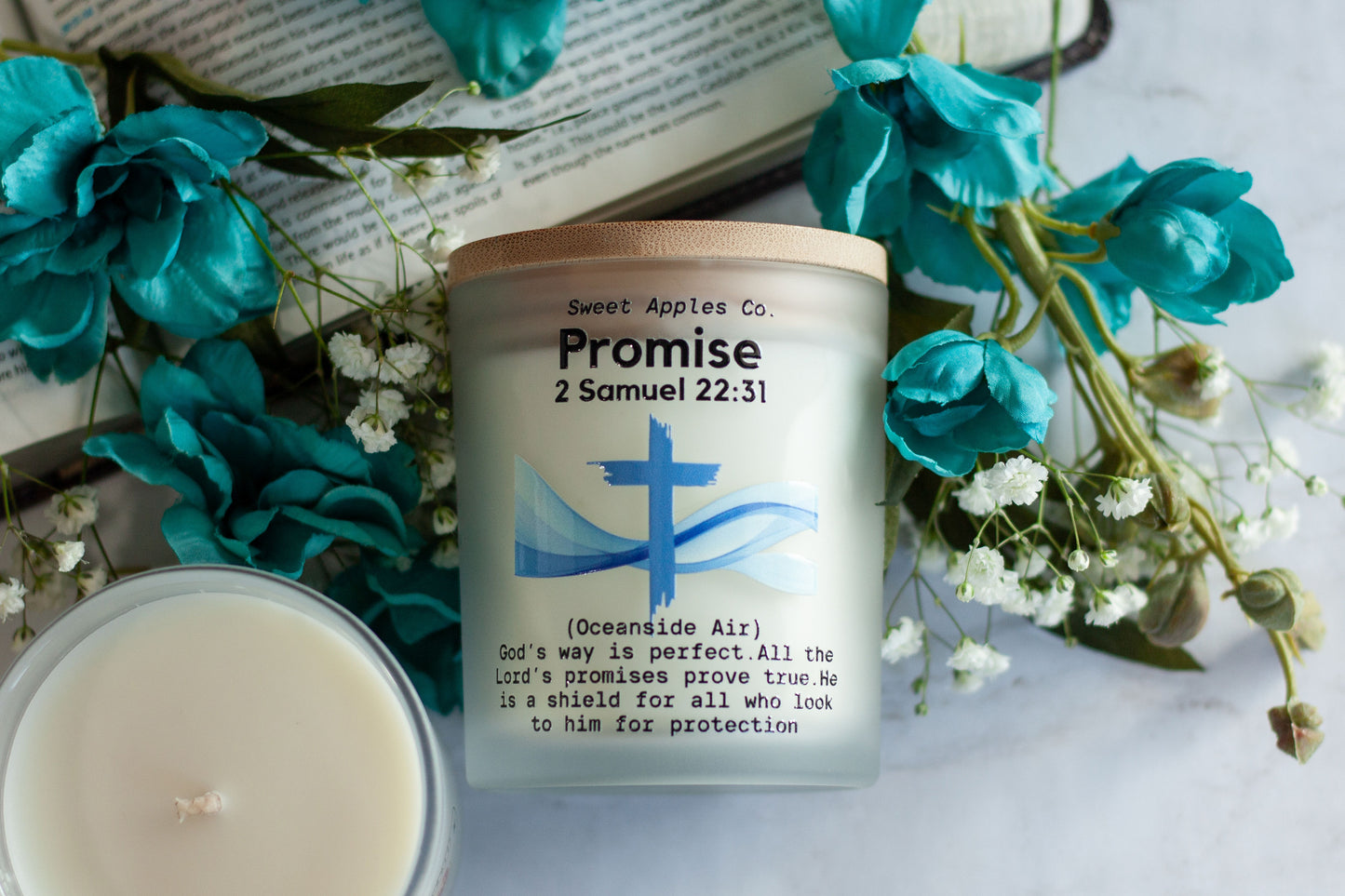 Promise (High Tide)