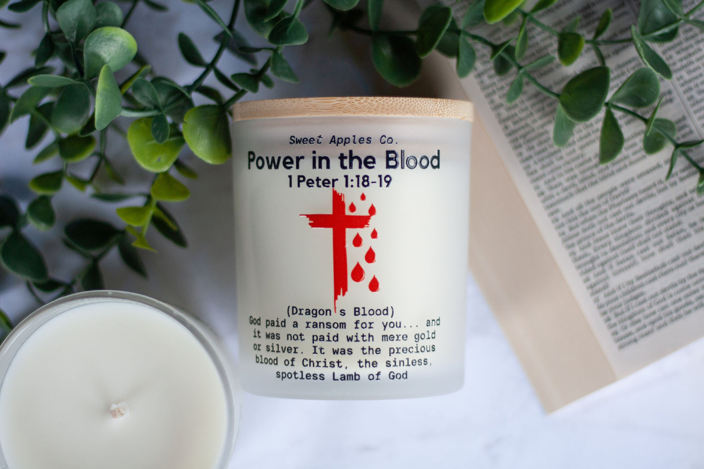 Power in the Blood (Dragons Blood)
