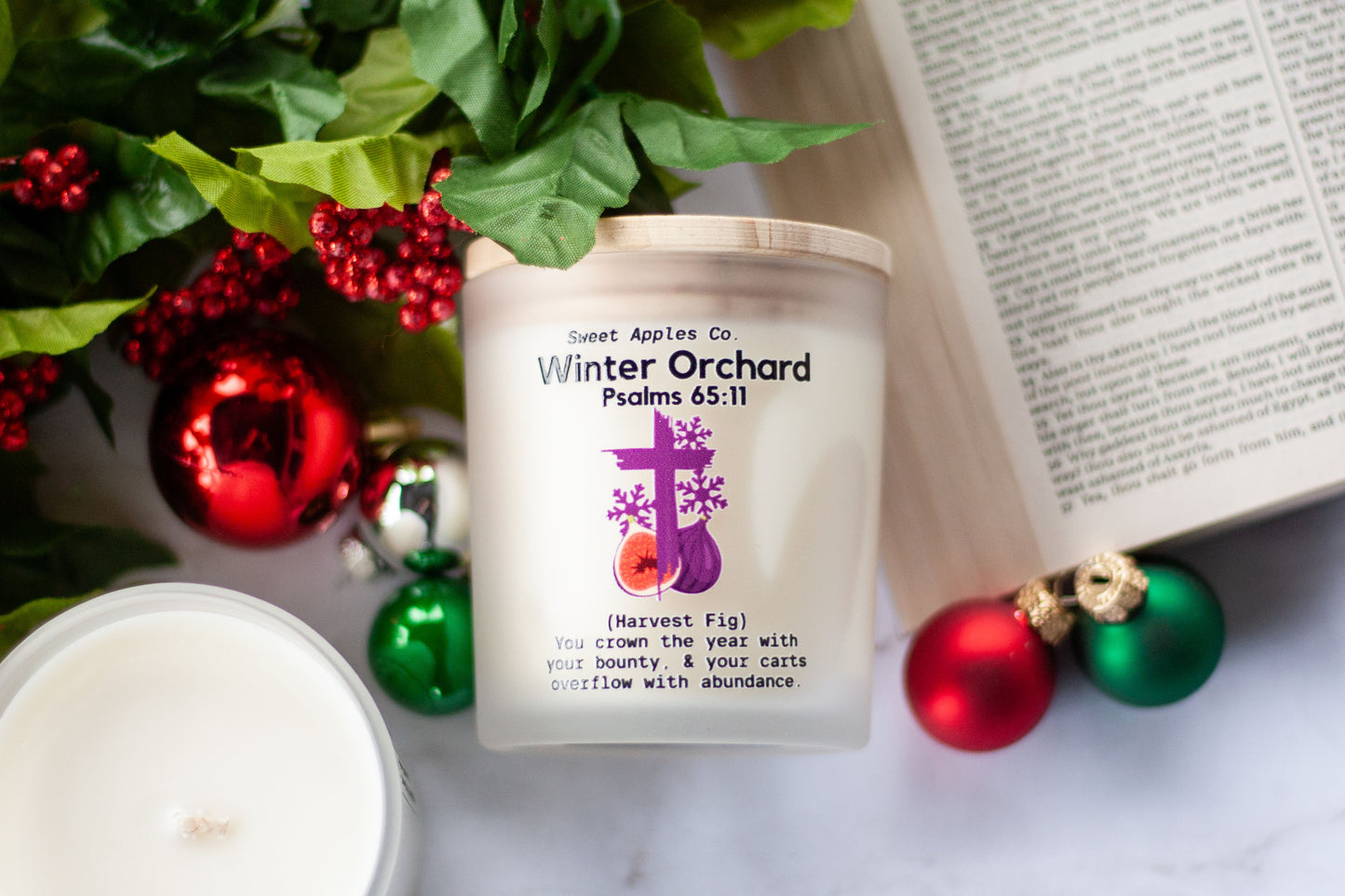 Winter Orchard (Harvest Fig)